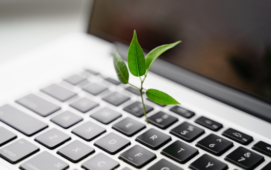 module éco-contribution PrestaShop conformité environnementale e-commerce responsable agence bordeaux