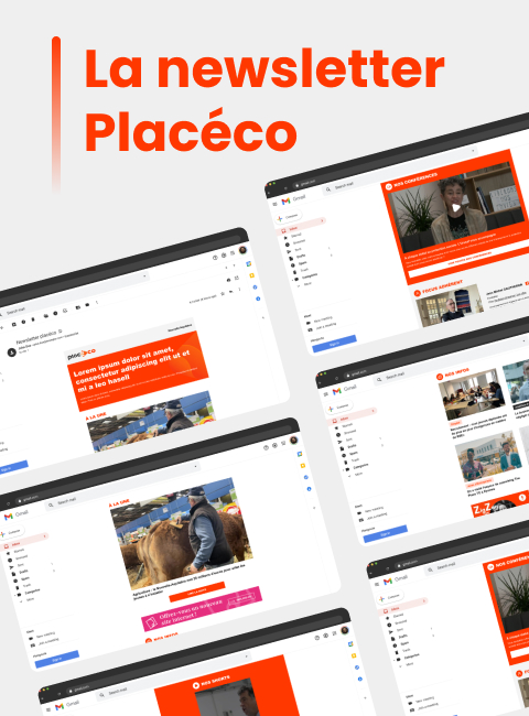 Site Placéco CMS personnalisé SEO intégré optimisation chargement mobile UX fluide contenus éditoriaux riches